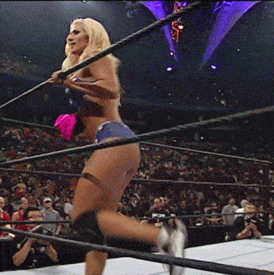 torrie wilson can stun you literally 19 gifs 7.html - 1 HD GIF | Premium Gallery 2020