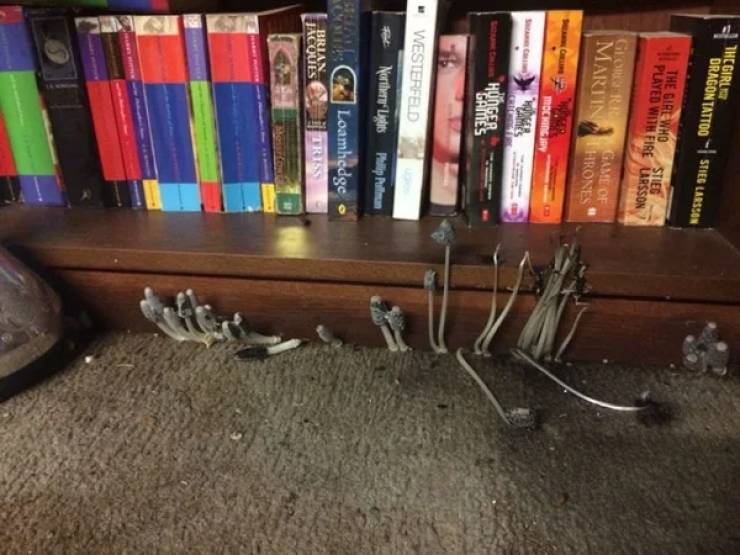 How Can You Be SO MESSY?!