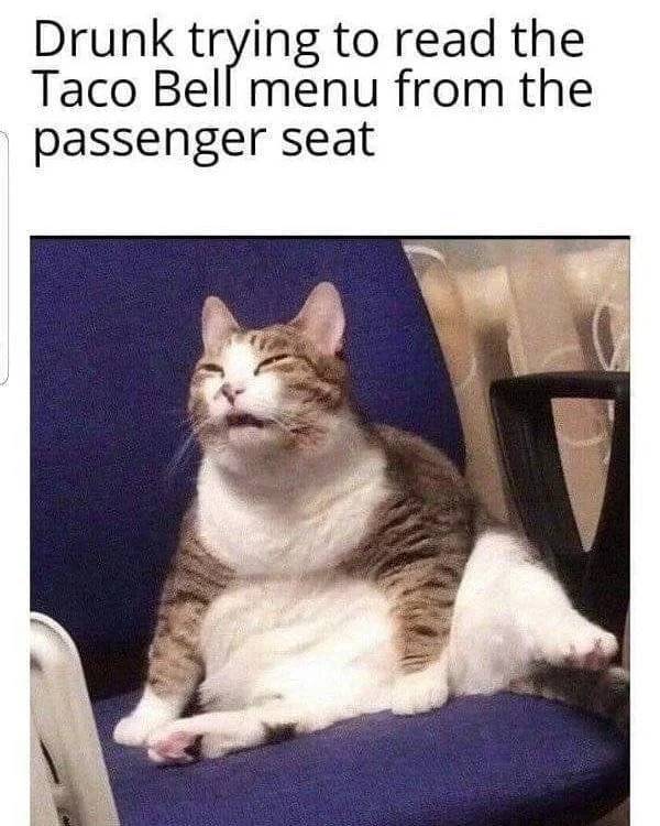 These Memes Are Drunk!