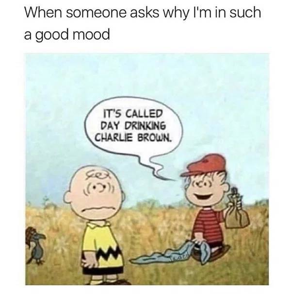 These Memes Are Drunk!