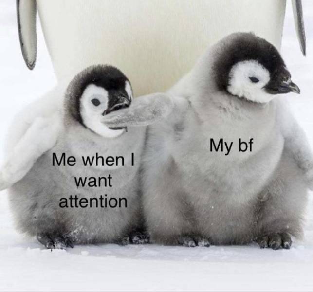 Dirty Memes For Your Flirting Needs