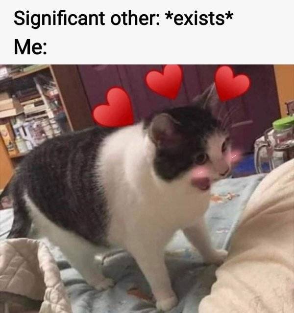 Dirty Memes For Your Flirting Needs