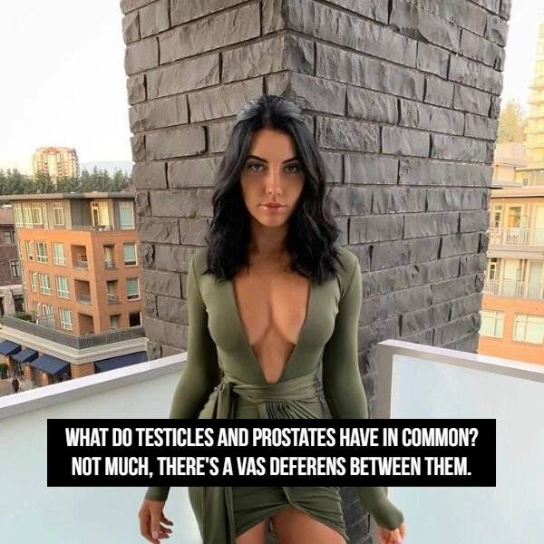 These Ladies Are Very Funny!