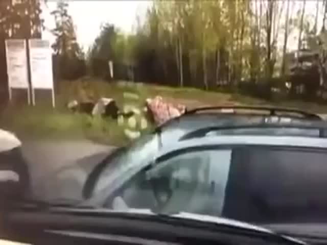 Brutal Finnish Police