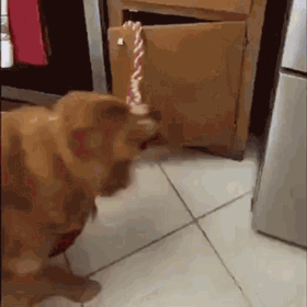 dirty minds you are welcome 67 pics 1 gif 17.html - 67 HD GIF | Premium Gallery 2021