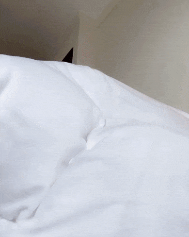 hot girls are here for you 48 gifs 6.html - 1 HD GIF | Premium Gallery 2021