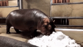 We Know Your Mind Is Dirty…