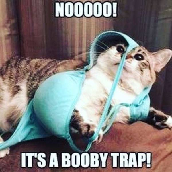 These Boob Memes Are Huge!