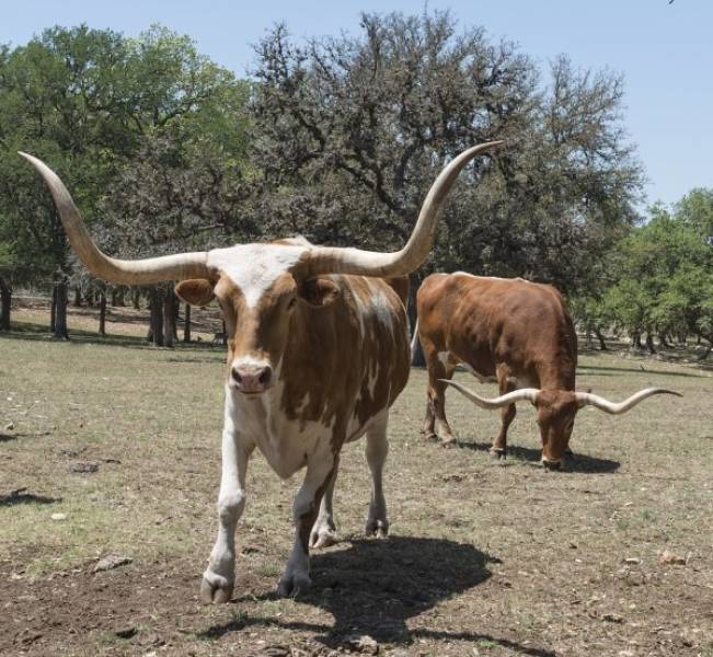 “Romantic” Gestures That Had Unintended Consequences