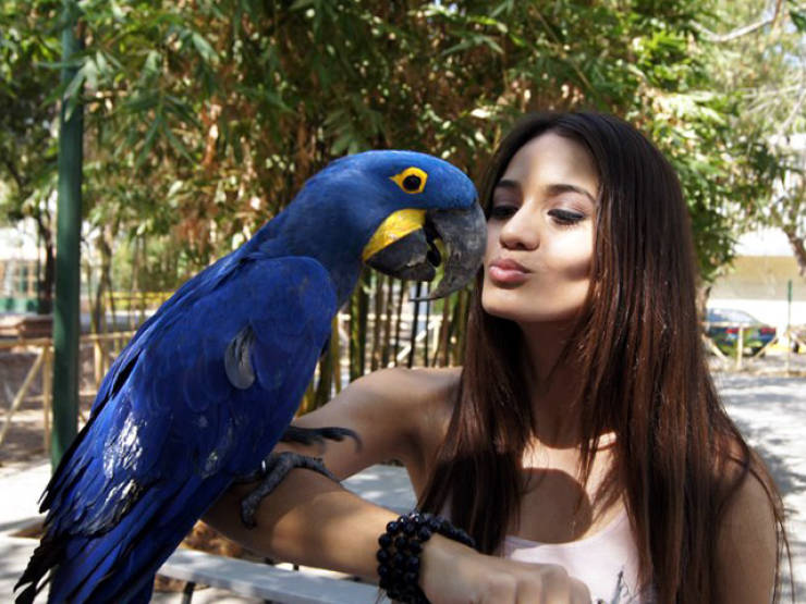 Mexican Beauty Queen Was Allegedly Involved In Kidnapping