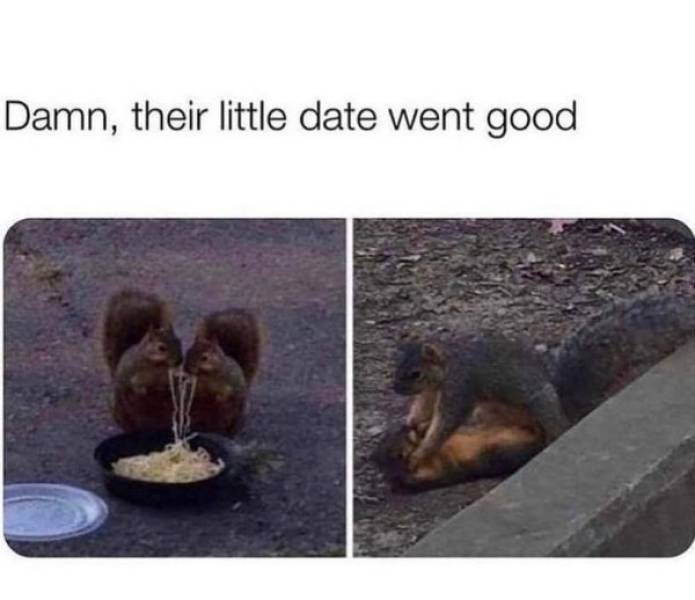 NSFW Memes For Your Naughty Side