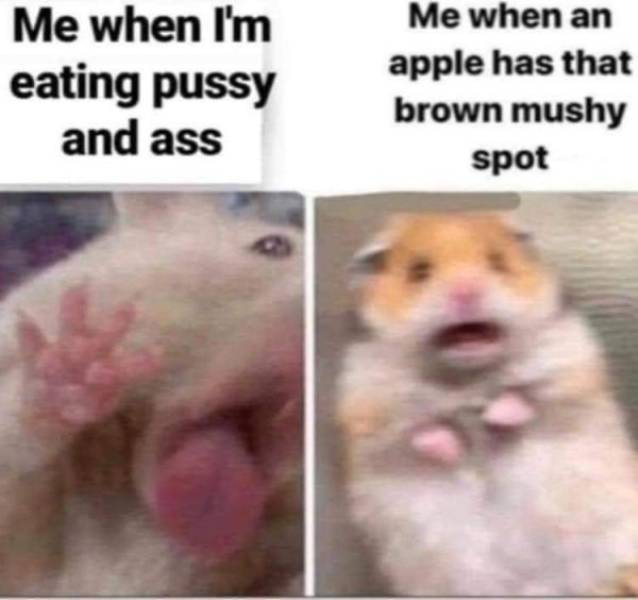 NSFW Memes For Your Naughty Side
