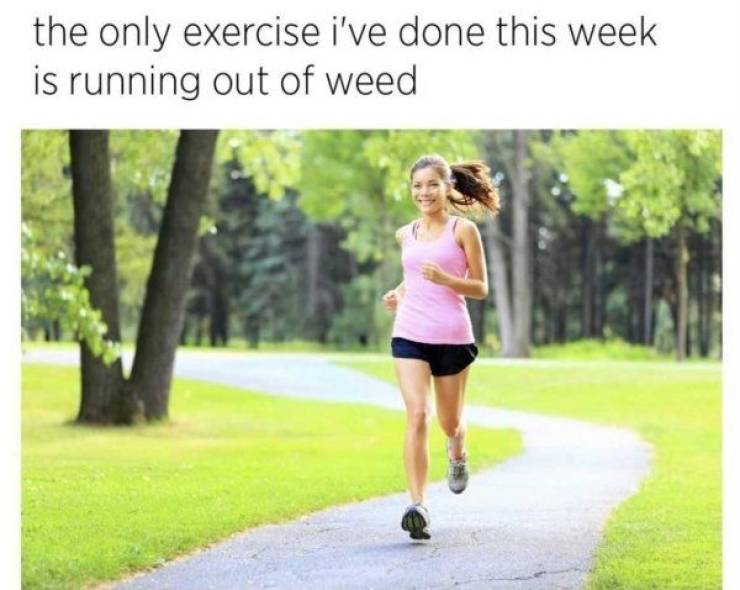 These Memes Are Higher Than The Sky…