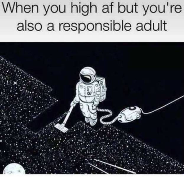 These Memes Are Higher Than The Sky…