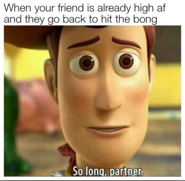 These Memes Are Higher Than The Sky…