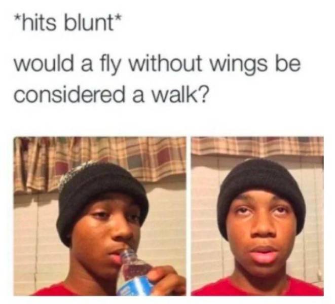 These Memes Are Higher Than The Sky…