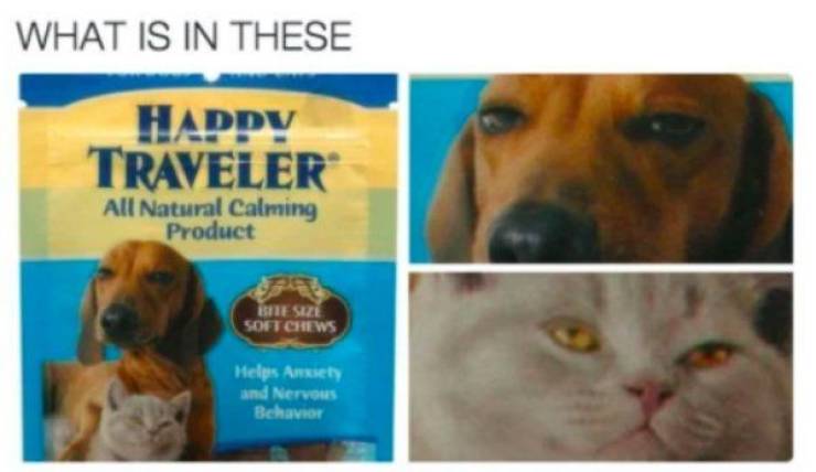 These Memes Are Higher Than The Sky…