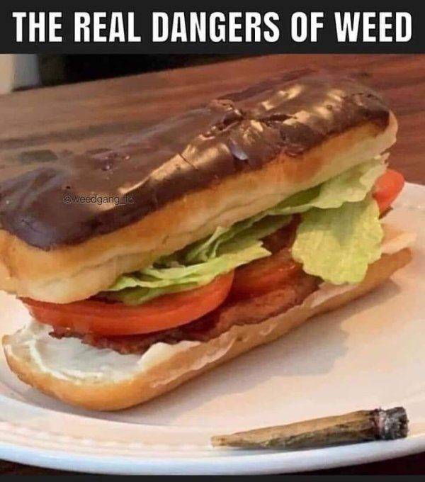 These Memes Are Higher Than The Sky…