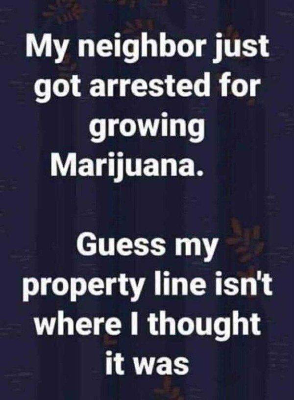 These Memes Are Higher Than The Sky…