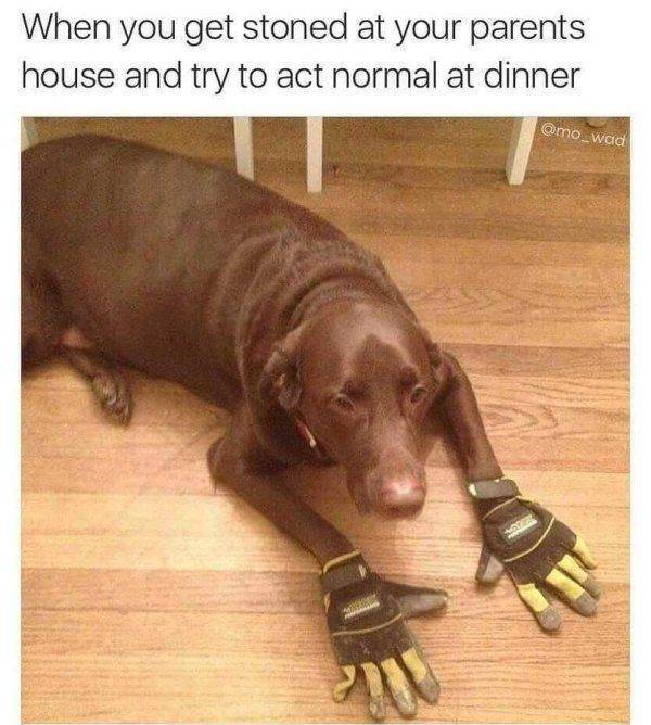 These Memes Are Higher Than The Sky…