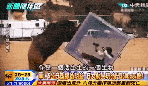 Japanese Game Shows Are On Another Level Of Craziness…