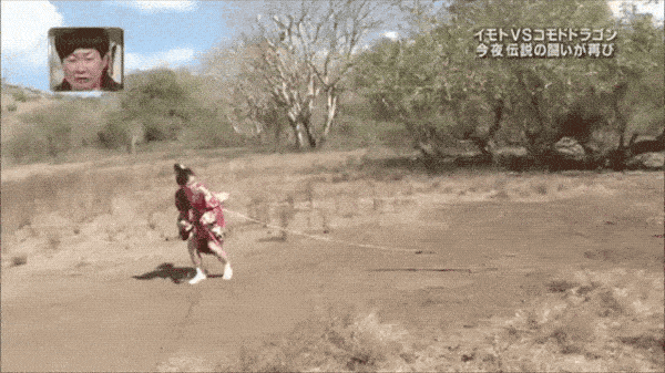 japanese game shows are on another level of craziness 24 gifs 6.html - 1 HD GIF | Premium Gallery 2021