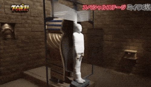 japanese game shows are on another level of craziness 24 gifs 6.html - 1 HD GIF | Premium Gallery 2021