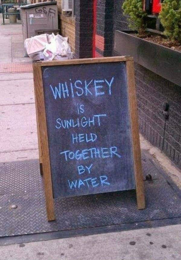 way too wasted 83 pics 7.html - 83 HD Photos | Premium Gallery 2021