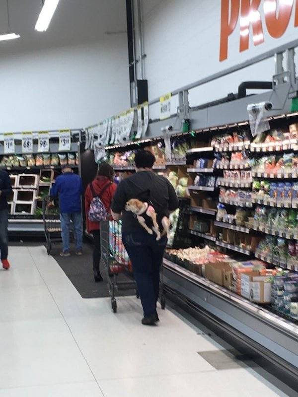 “Walmart” Visitors Are Something Else…