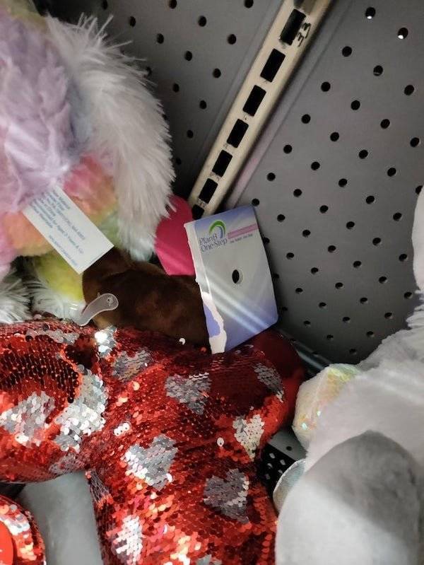 “Walmart” Visitors Are Something Else…