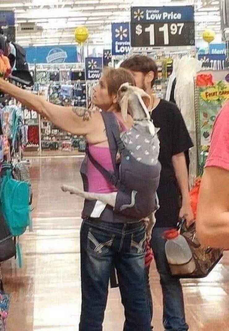 “Walmart” Visitors Are Something Else…