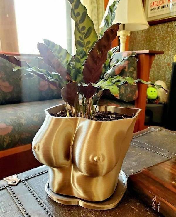 Dirty Mind, Come Here!