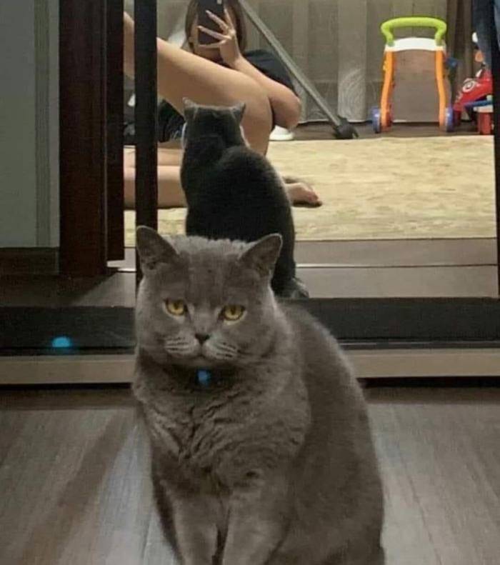 Dirty Mind, Come Here!