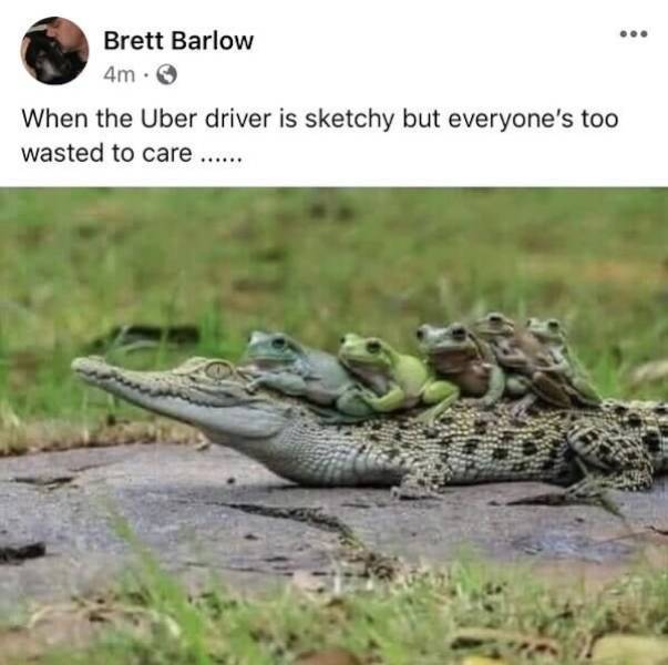 Wasted Or Not, It Doesn’t Matter