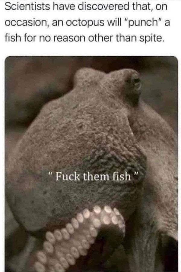 Dirty Minds, Here’s Your Fix