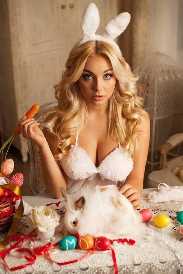 These Are Some Very Cute Bunnies!