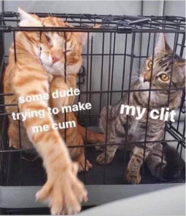 Enjoy Some Dirty Sex Memes!