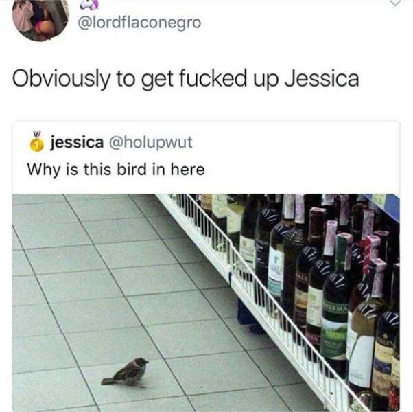 Need Some Dirty Memes?