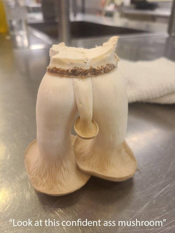 Need Some Dirty Memes?