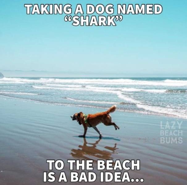 These Beach Memes Are Kinda Hot!