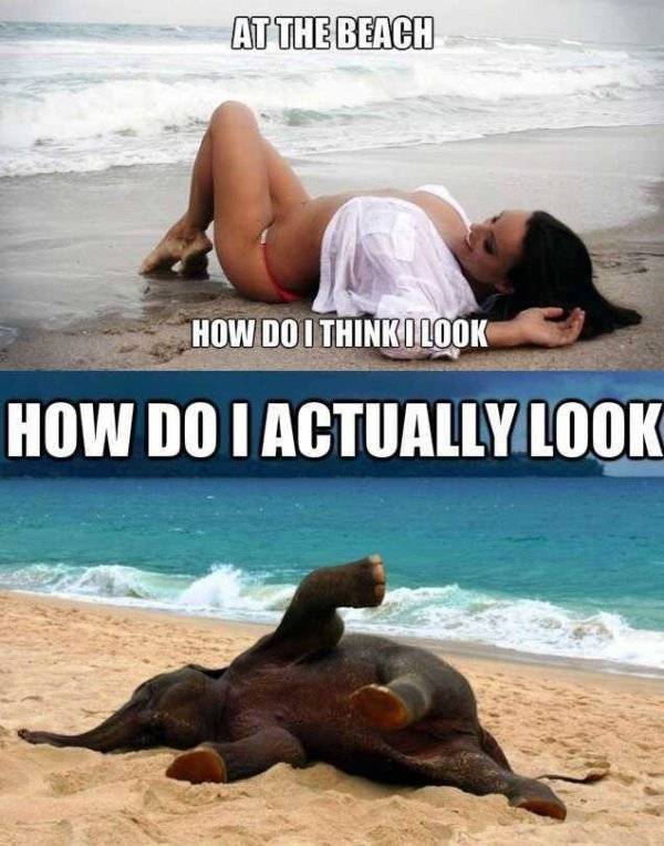 These Beach Memes Are Kinda Hot!