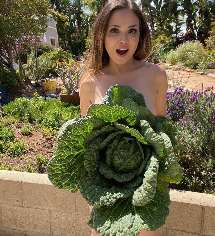 grownup corner 54 pics 3.html - 54 HD Photos | Premium Gallery 2021