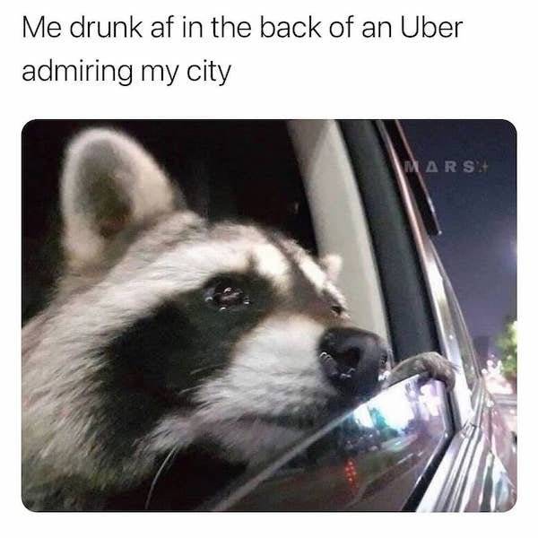 Drunks And Drunk Memes…