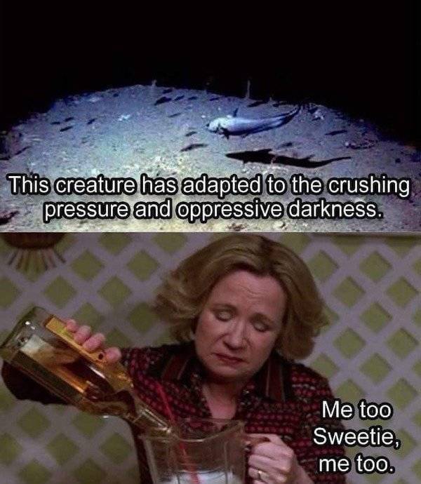 Drunks And Drunk Memes…