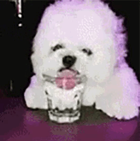 Tequila Memes With Some Extra Hotness!