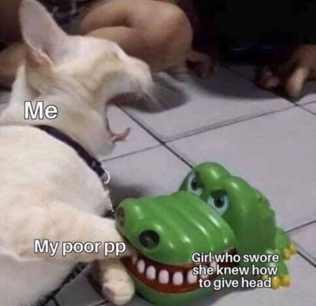 These Memes Are Extremely NSFW!