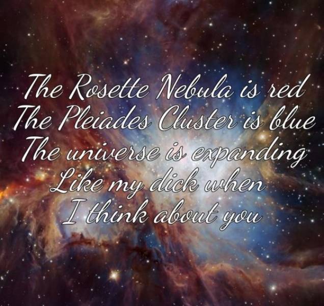 These Memes Are Extremely NSFW!