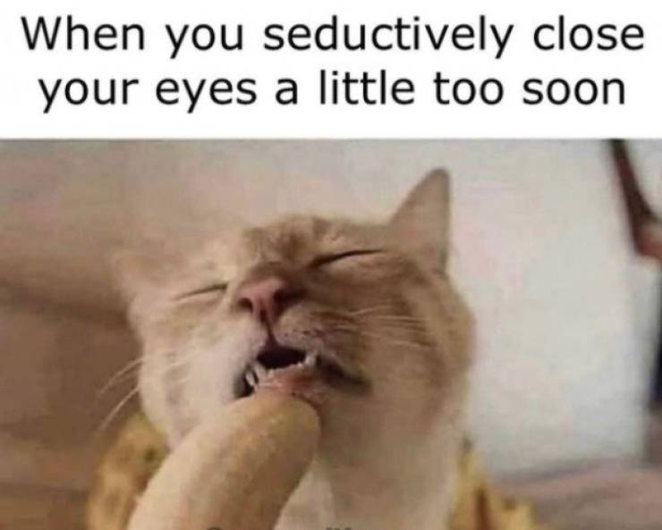 These Sex Memes Are Naughty!