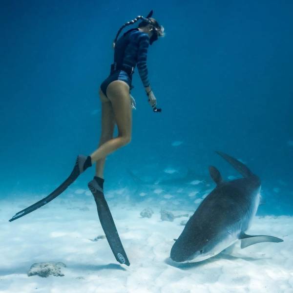 grownup corner 77 pics 29.html - 77 HD Photos | Premium Gallery 2021