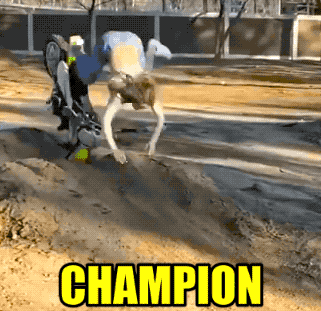 these fails are extra hot 41 gifs 7.html - 1 HD GIF | Premium Gallery 2021